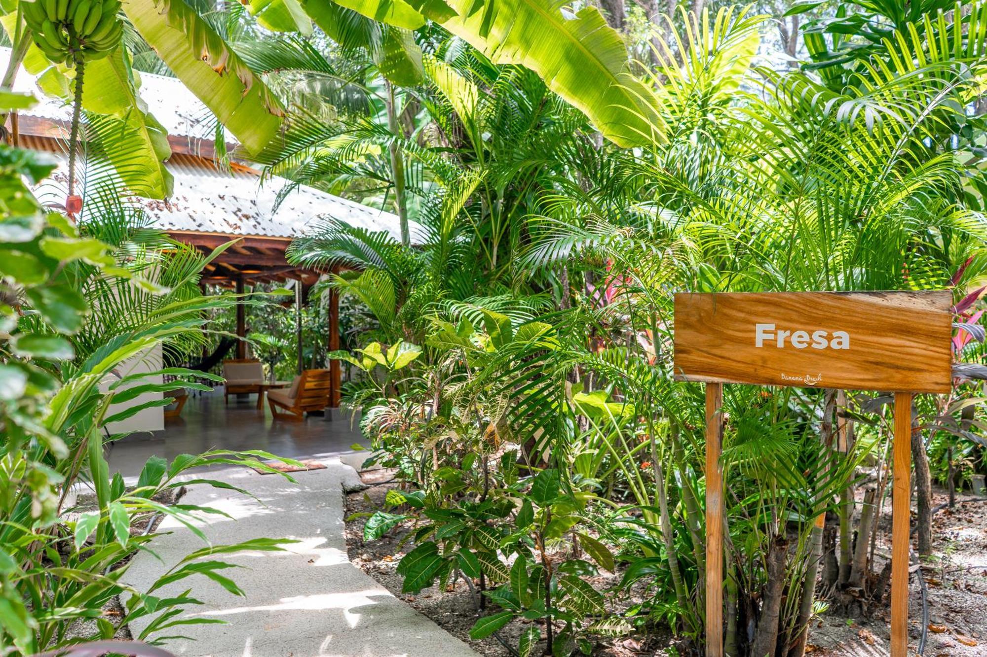 Banana Beach Bungalows Playa Santa Teresa  Exterior photo