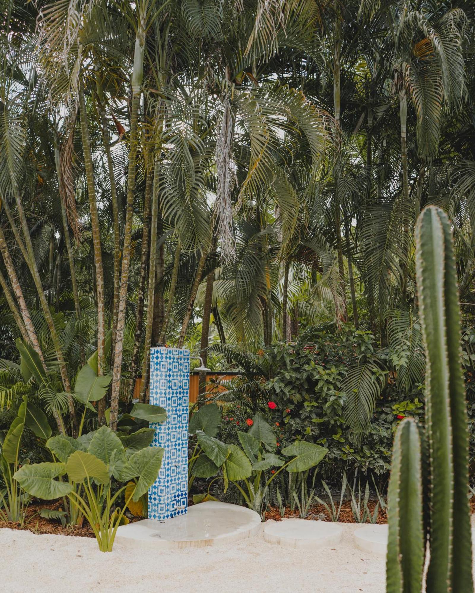 Banana Beach Bungalows Playa Santa Teresa  Room photo
