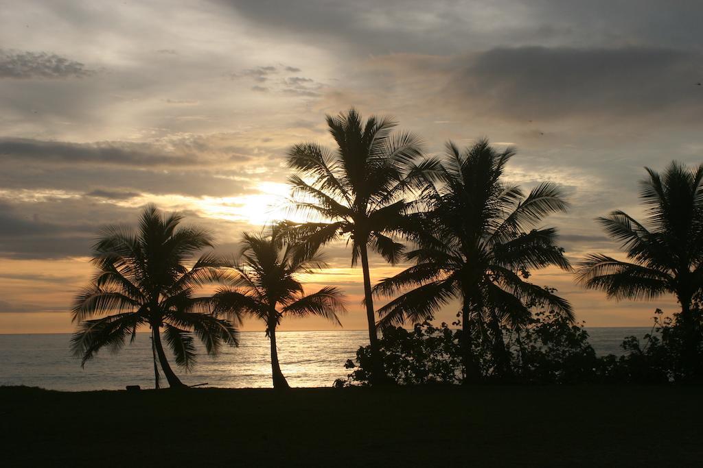 Banana Beach Bungalows Playa Santa Teresa  Exterior photo